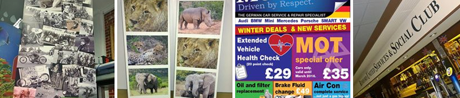 click to view portfolio